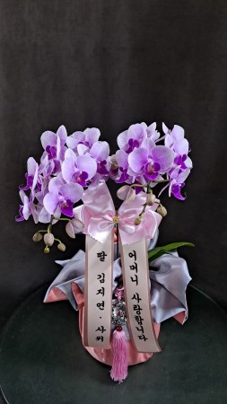 []   ڱ  - ũ̵ (߼) ɹ  
