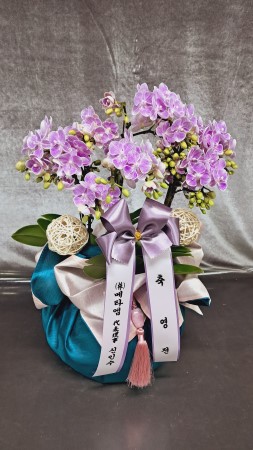 [����] ������ �������� ���ڱ� ���� - ���� ������ ����ũȣ���� (��) �ɹ�� ���� 