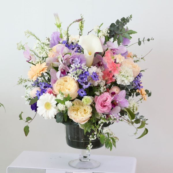 [����/�����ǹ��]���� ���� �ʸ� ���� �ɹ�� ���� 