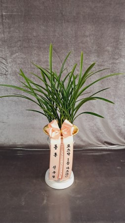 [�λ��̵� ��õ] �Ͼ���� �Ǿ�� ���� ����� �ɹ�� ���� 