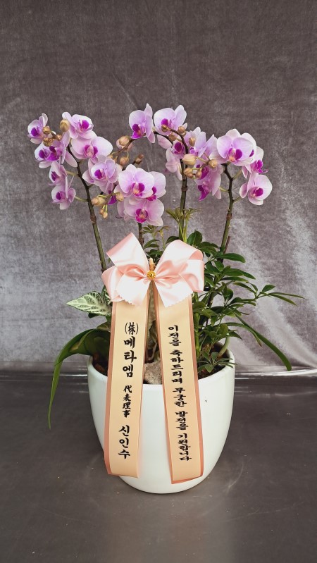 �޽��� �Ǵ� ��Ȱ���� - Smile moon_��Ʋ�� (��) (ȭ�⺯��) �ɹ�� ���� 