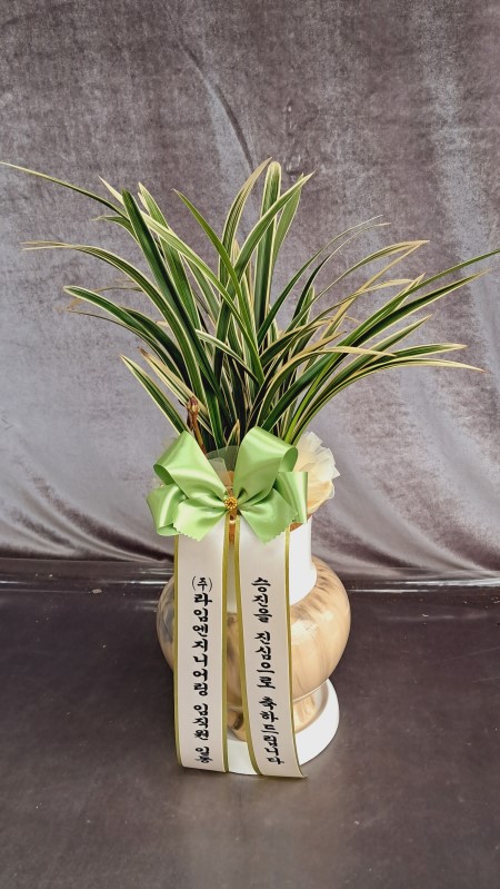 ������ �����մϴ� ��Ȳ �ɹ�� ���� 