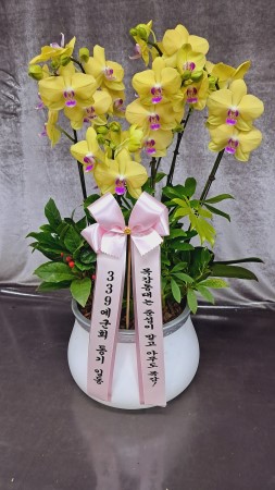 ������ ������ ����� �Բ� ������, ��� ȣ���� �ɹ�� ���� 