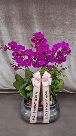 [����]��Ȱ������ ȭ���ϰ� - ��õȫ (��)(ȭ�⺯��) �ɹ�� ���� 