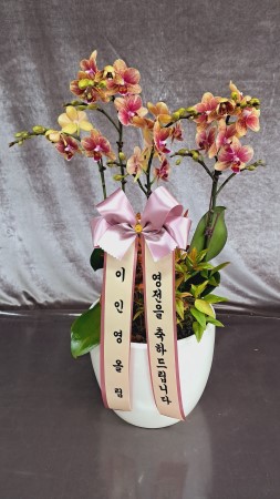 [����]�����ϴ� ���� ��� - ȣ���� ����� (��) (ȭ�⺯��) �ɹ�� ���� 