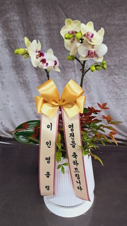 [�����ǹ��] Office&Nature - ����[ȭ�⺯��} �ɹ�� ���� 