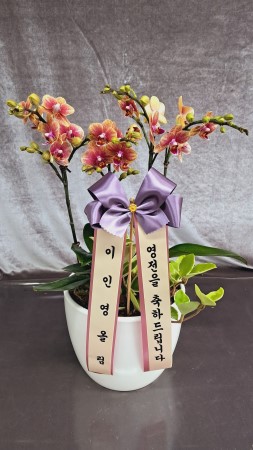 [����]�����ϴ� ���� ��� - ȣ���� ����� (��) (ȭ�⺯��) �ɹ�� ���� 