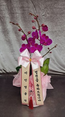 �����ǳ� ���� ��������ȣ���� ���� - ��ũȣ�� ��õȫ(����������,�������Ϻθ�����) �ɹ�� ���� 