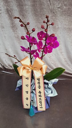 [������]������ ������ ��� - ��õȫ �ɹ�� ���� 