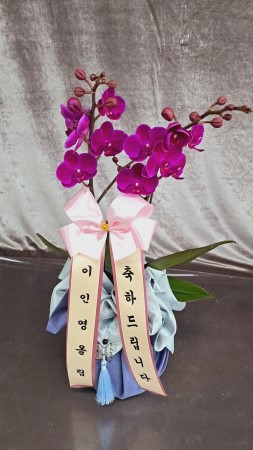 [������]������ ������ ��� - ��õȫ �ɹ�� ���� 