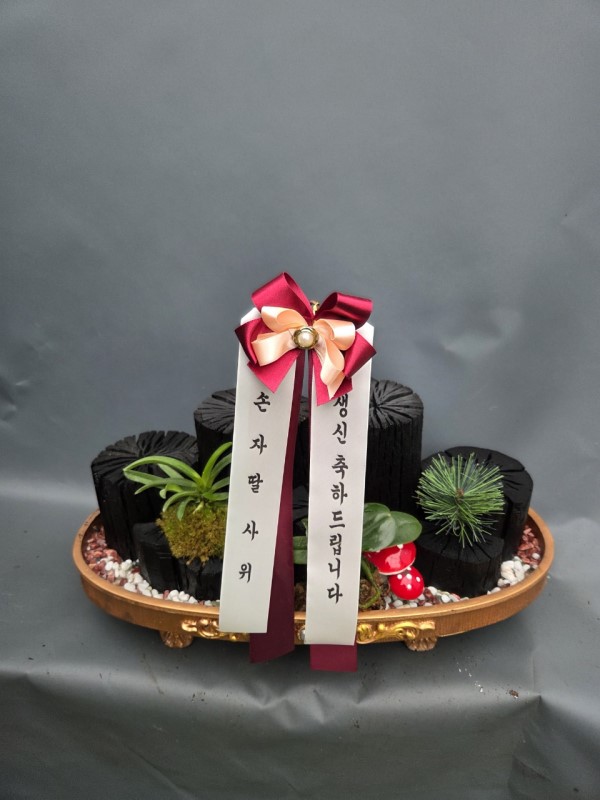 ������ȭŹ���� ������ �̴����� �ɹ�� ���� 