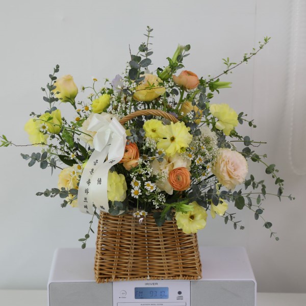 Lovely sunlight �ɹ�� ���� 