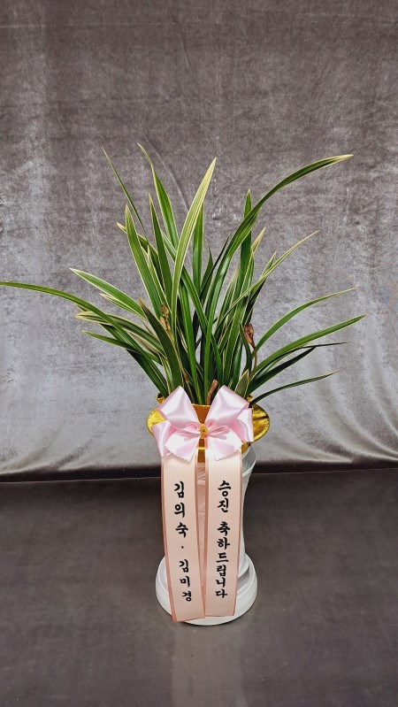 [�λ��̵� ��õ] ���� ���� �Ǿ��ִ� ����� �ɹ�� ���� 