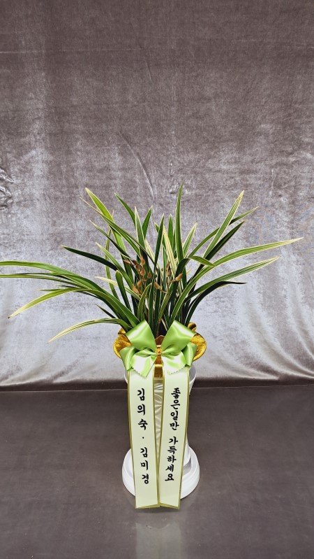 [�λ��̵� ��õ] ���� ���� �Ǿ��ִ� ����� �ɹ�� ���� 