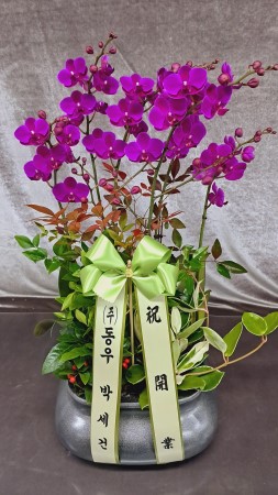 []Ȱ ȭϰ - õȫ ()(ȭ⺯) ɹ  