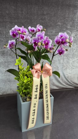 ������ ���� ���� -����ũȣ�� (��) �ɹ�� ���� 