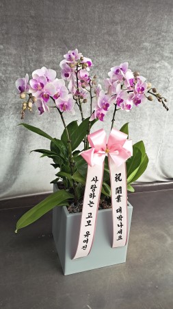 ������ ���� ���� -����ũȣ�� (��) �ɹ�� ���� 