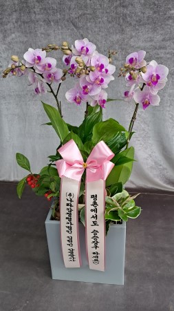 ������ ���� ���� -����ũȣ�� (��) �ɹ�� ���� 