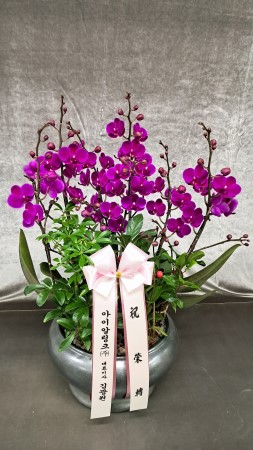 [����]�Ƹ��ٿ��� �ִ� ���� - ���� ȭ���� ��õȫ (��) (ȭ�⺯��) �ɹ�� ���� 