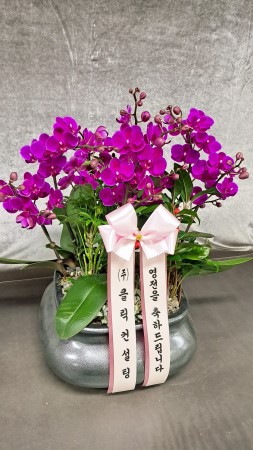 [����]��Ȱ������ ȭ���ϰ� - ��õȫ (��)(ȭ�⺯��) �ɹ�� ���� 