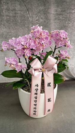 �޽��� �Ǵ� ��Ȱ���� - Smile moon_��Ʋ�� (��) (ȭ�⺯��) �ɹ�� ���� 