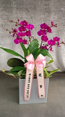 [����]����� ��õȫ (�߼�) (ȭ�⺯��) �ɹ�� ���� 