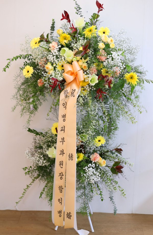 ȥ ȭȯ -ȥ ູԴϴ ɹ  