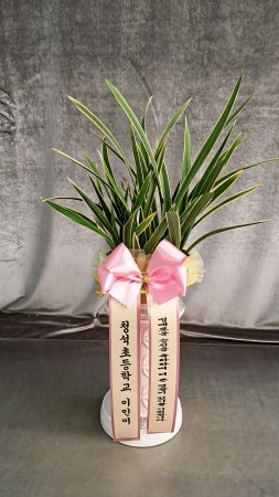 [�λ��̵� ��õ] ���� ���� �Ǿ��ִ� ����� �ɹ�� ���� 