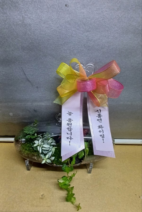 �������ȿ� ���� ������ �ٸ��� - �����׶󸮿� ���ּ� �ɹ�� ���� 