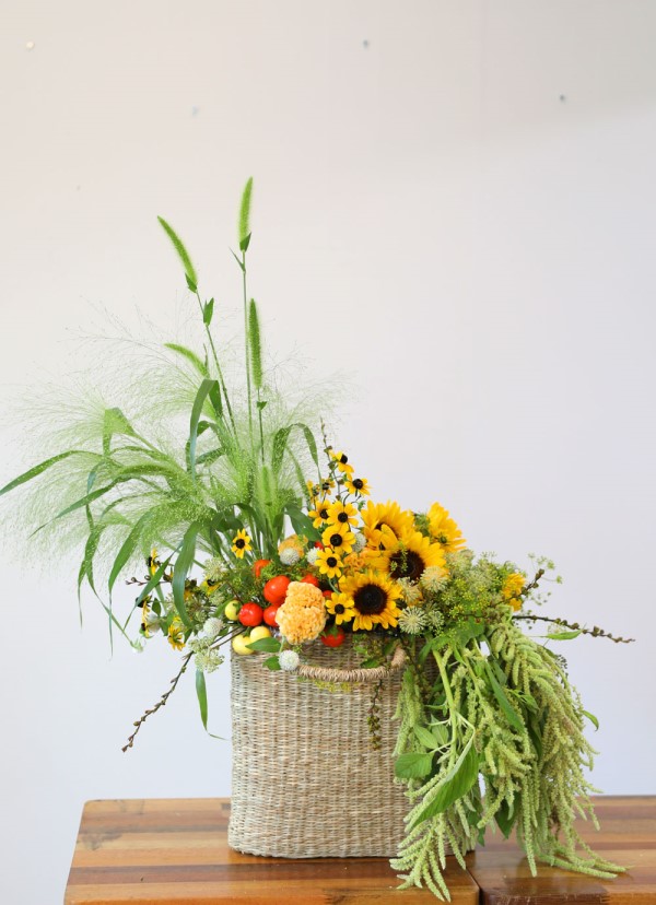 [] Celebrate Fall -  Ƹٿ  ɹ  