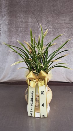 ������ �����մϴ� ��Ȳ