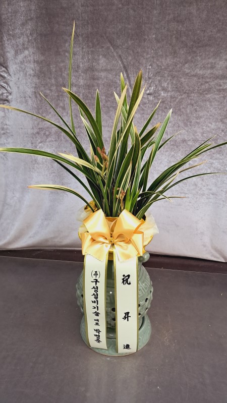 [����]���� �����- Ȳ���