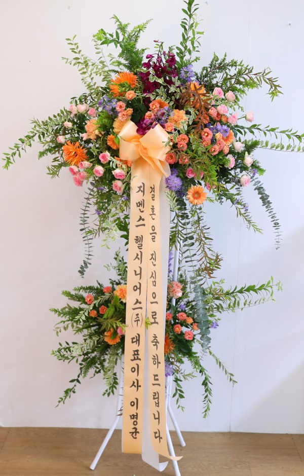 ȥ ȭȯ -ȥ ູԴϴ ɹ  