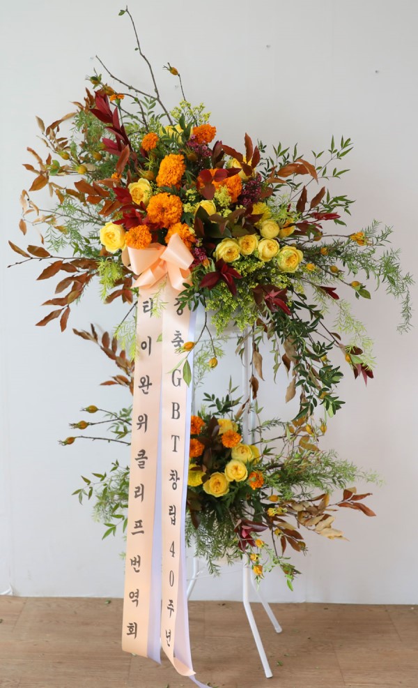 Ư Ͽ ȭȯ - ö119  ȭȯ_NO 1 ɹ  