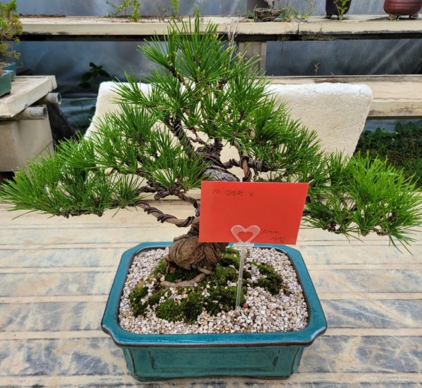 []Office&Nature - ޺ ؼ() ɹ  