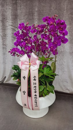 [����]�Ƹ��ٿ��� �ִ� ���� - ���� ȭ���� ��õȫ (��) (ȭ�⺯��)