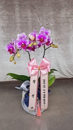 [����] ������ �������� ���ڱ� ���� - ���� (��)