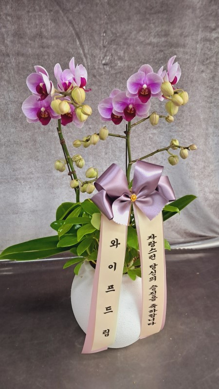 ���� ���� ���� ����, ��ũ ȣ���� �ɹ�� ���� 