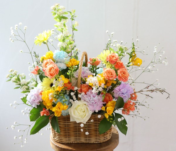 �������� �� ������ �ɹ�� ���� 