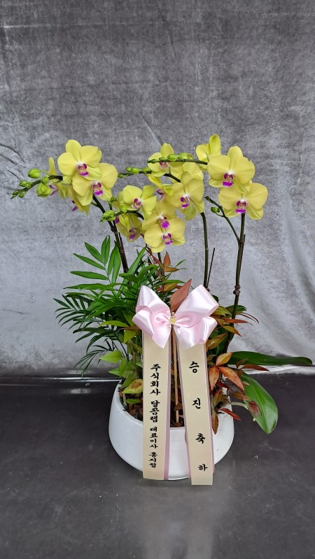 ������ ������ ���, ������ ������ ���� ���� ��� ȣ���� �ɹ�� ���� 