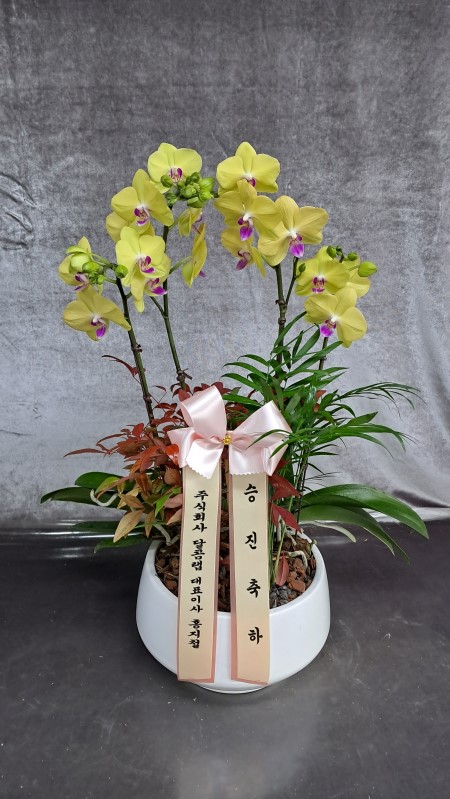 ������ ������ ���, ������ ������ ���� ���� ��� ȣ���� �ɹ�� ���� 