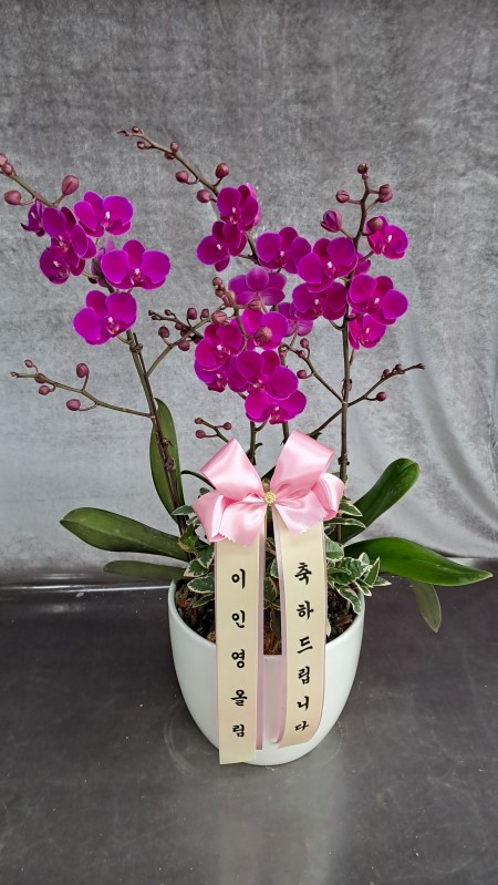 [����]�����ϴ� ���� ��� - �ɺ�ȫ���� ��õȫ (��) �ɹ�� ���� 