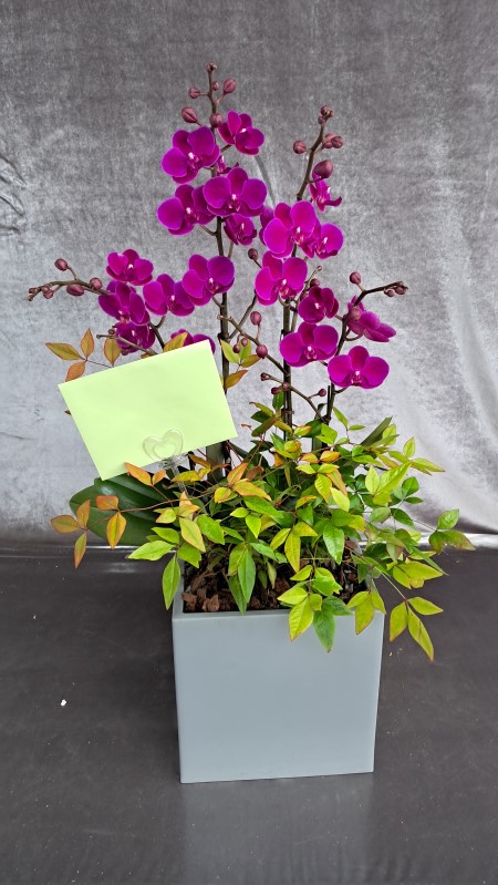 [����]����� ��õȫ (�߼�) (ȭ�⺯��) �ɹ�� ���� 