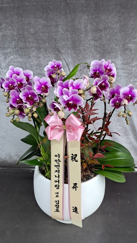 Ư���� ������ ���� �ְ��� ����, �ְ��� ��ũ ȣ���� �ɹ�� ���� 