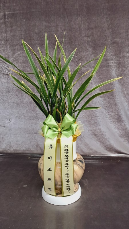 ������ �����մϴ� ��Ȳ �ɹ�� ���� 