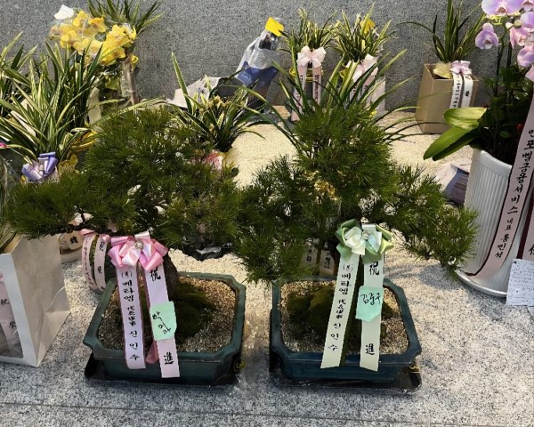 [���������]Office&Nature - ���޺��� �ؼ�(��) �ɹ�� ���� 