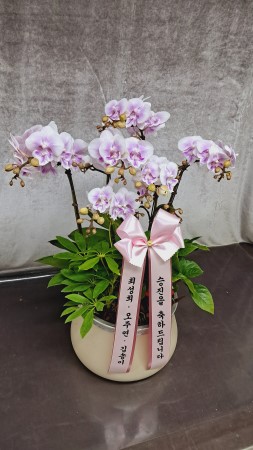 [����,������]����� ������ ���� - ��ũ ȣ���� (��) (ȭ�⺯��) �ɹ�� ���� 