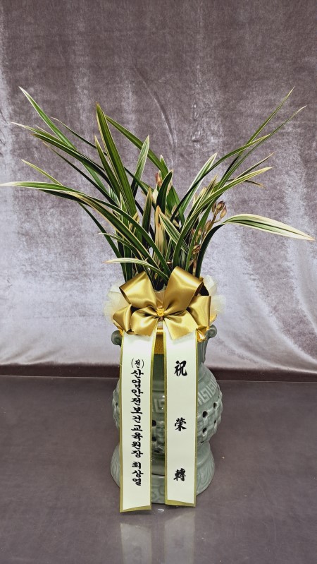 [��������ǹ��]ǰ���� �������� ���� ����� Ȳ��� �ɹ�� ���� 