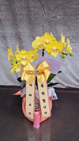 []   ڱ  -  ȣ () ɹ  