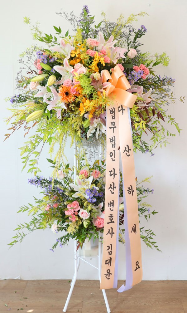 ȥ ȭȯ -ȥ ູԴϴ ɹ  